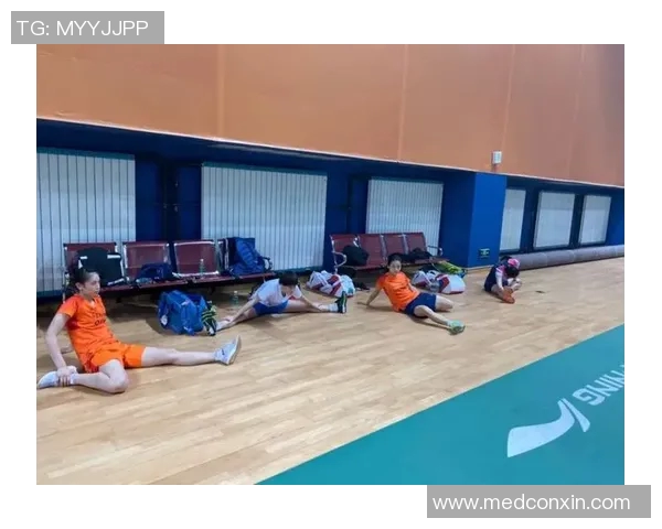 成都羽毛球队与武汉羽毛球队赛后战术分析与复盘探讨