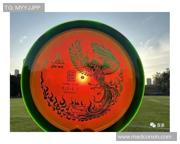 飞盘新手攻略：比赛经验入门指南